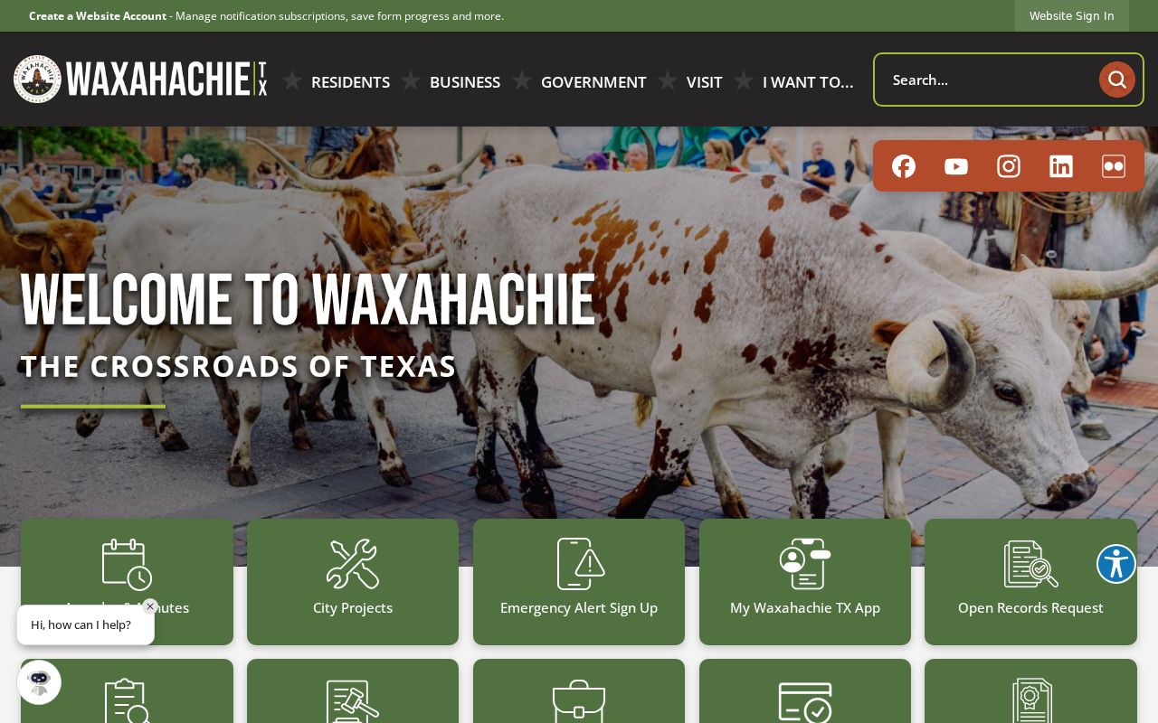 Waxahachie Ellis County criminal record request form fields